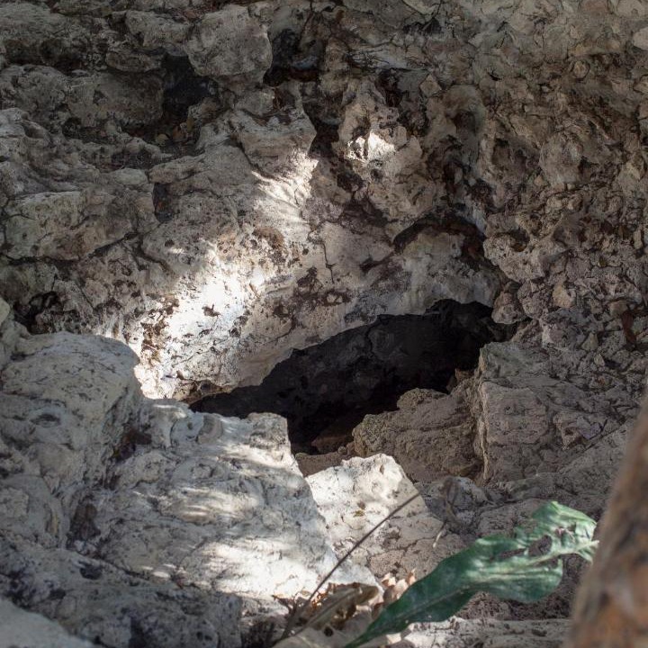 Photo of Others in Chemuyil