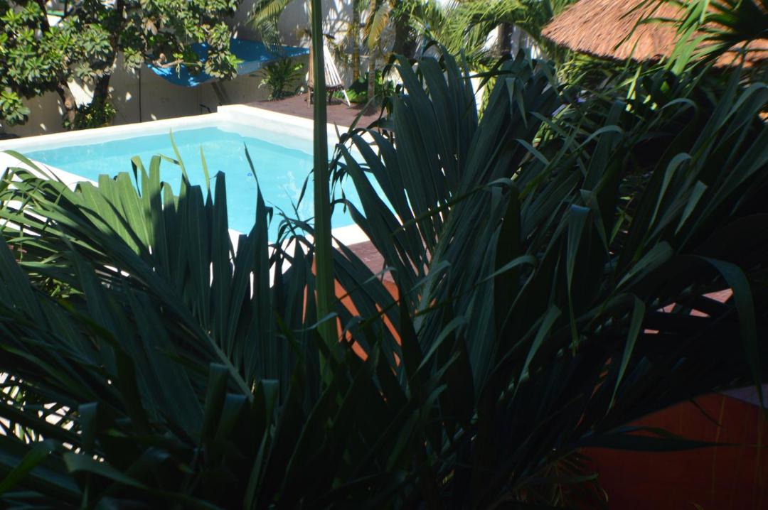 Photo of Others in Tulum City Center