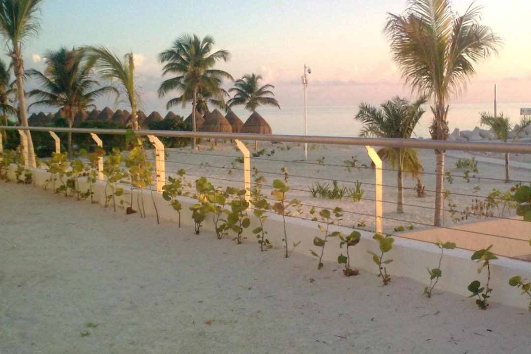 Photo of Others in Playa Mujeres