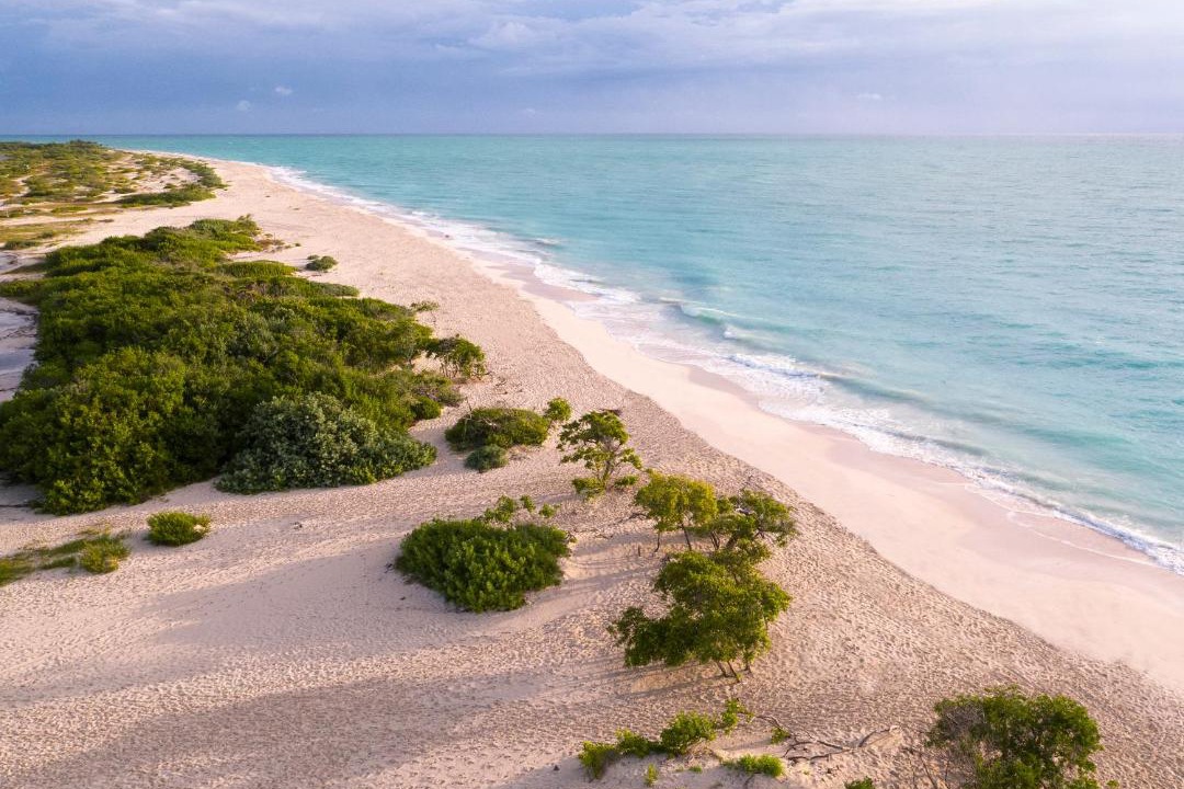 Photo of Others in Costa Mujeres