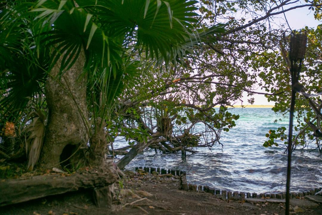 Photo of Others in Buenavista