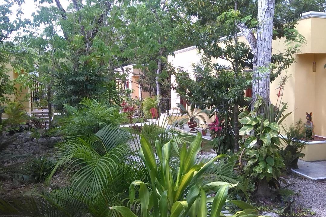 Photo of Others in Coba