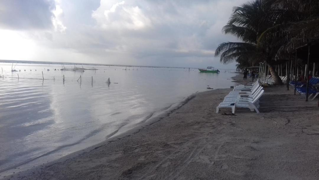 Photo of Others in Mahahual