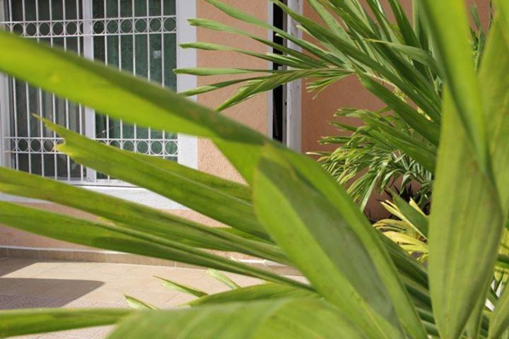 Photo of Buildings in Cancun