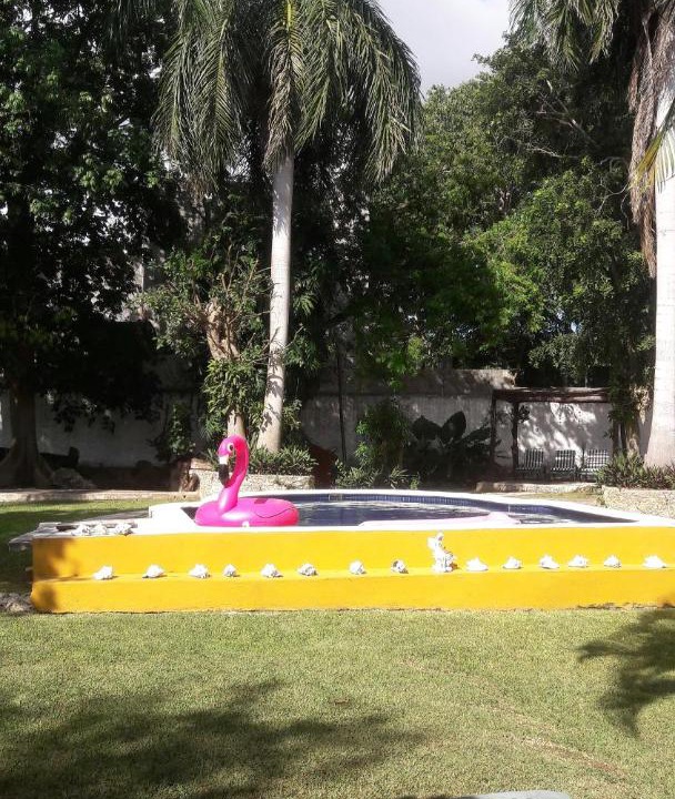 Photo of Outdoor in Alfredo V. Bonfil