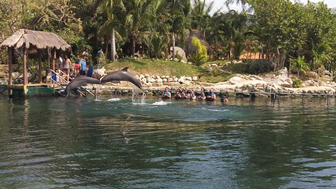 Photo of Outdoor in Puerto Aventuras