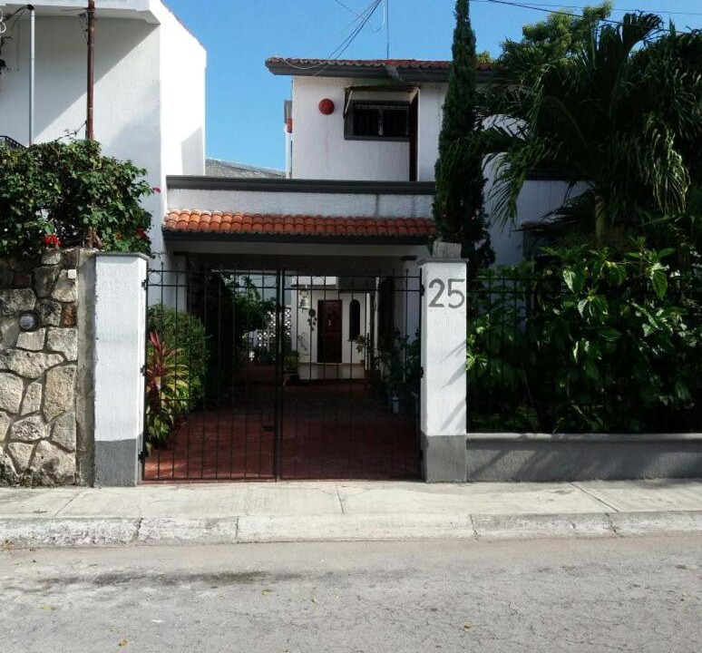 Photo of Others in Downtown Cancun