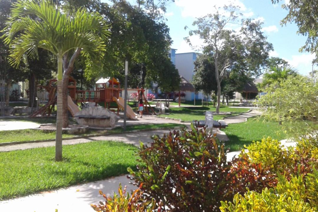 Photo of Others in Puerto Morelos