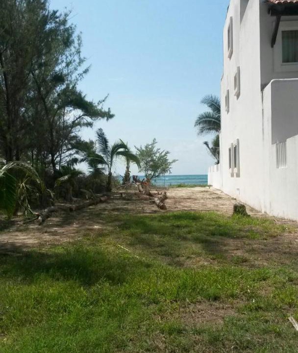 Photo of Others in Puerto Morelos