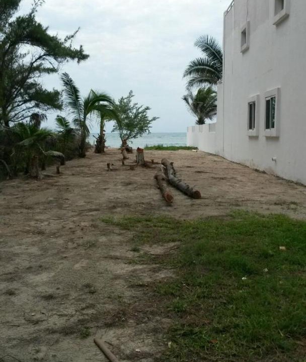 Photo of Others in Puerto Morelos