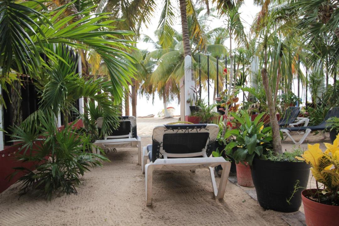 Photo of Others in Punta Allen