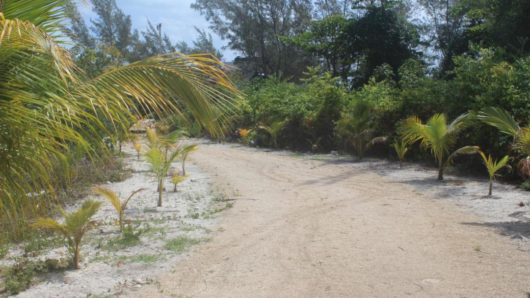 Photo of Others in Punta Sam