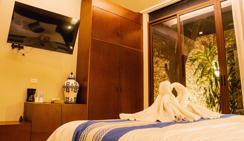 Superior Room, 1 King Bed, Bathtub, Courtyard View