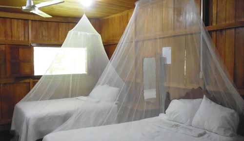 Standard Double Room, 2 Double Beds