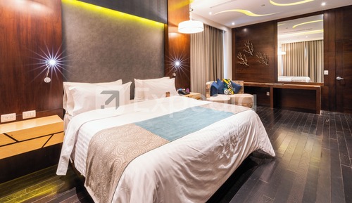 Suite Presidencial