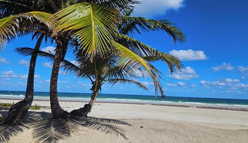 Superior Room, Non Smoking, Beach View