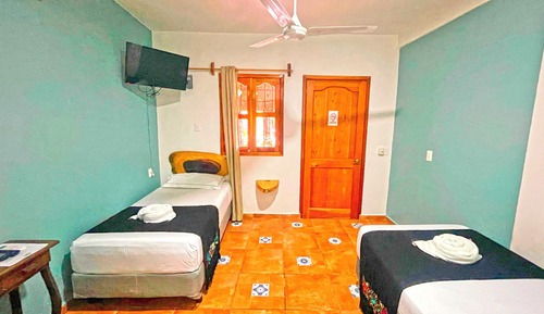 Basic Twin Room