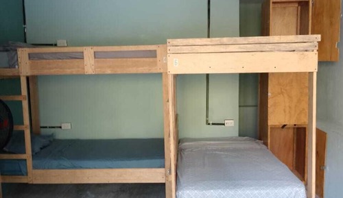 Classic Shared Dormitory