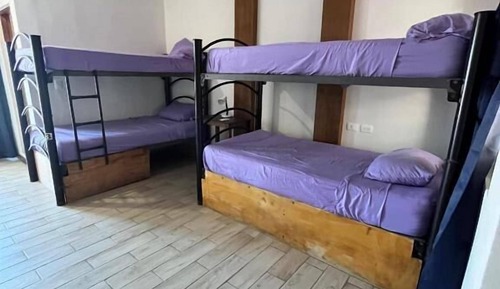 Basic Shared Dormitory