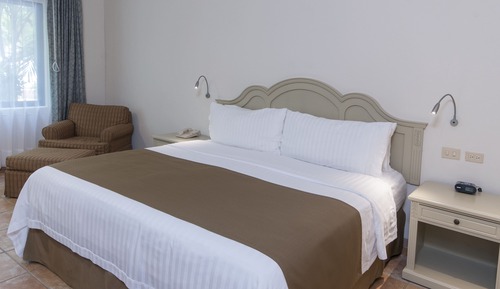 Standard Room, 1 King Bed, Accessible