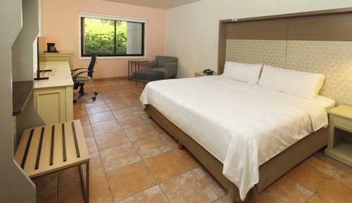 Suite, 1 Bedroom