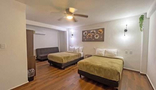 Basic Triple Room