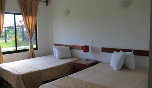 Twin Room, Garden View