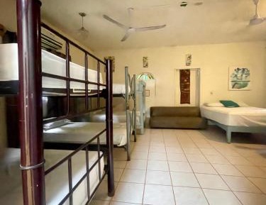 Bed in 8-Bed Dormitory Room