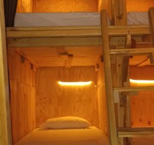 Single Bed in Mixed Dormitory Room