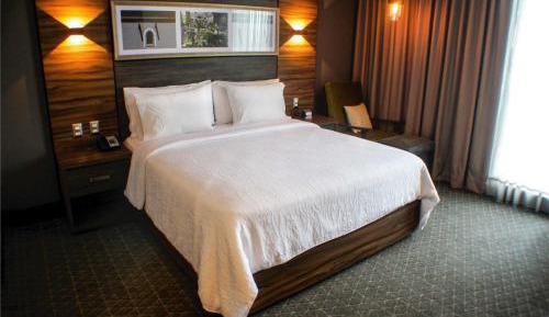 Junior King Suite with Sofa Bed