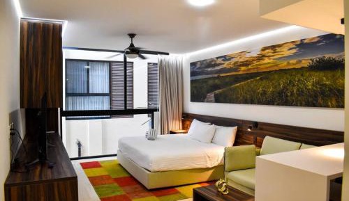 One-Bedroom Apartment