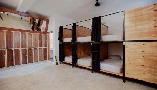 Bunk Bed in Mixed Dormitory Room
