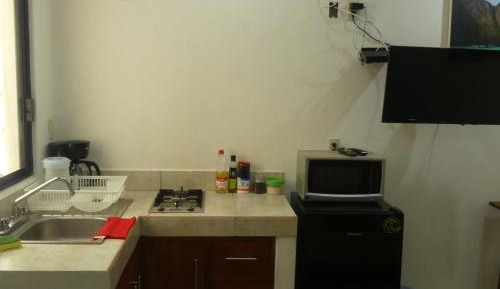 Studio Apartment with King Bed