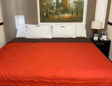 Double Room with Garden View