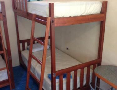 Single Bed in Mixed Dormitory Room