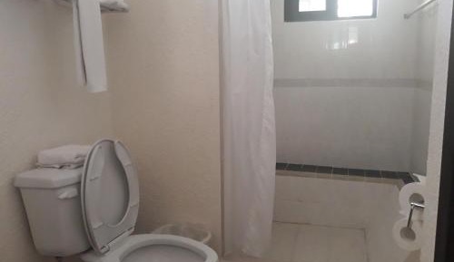 Double Room with Two Double Beds
