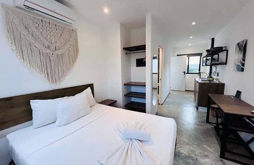 Zazil-ha Hotel | Coco Live Suites