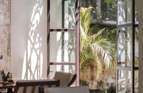 Zona Paseo Montejo Hotel | TreeHouse Boutique Hotel - Adults Only