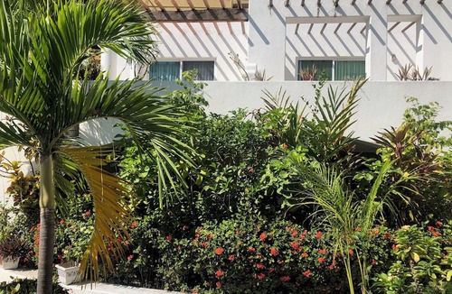 Playa la Madera Hotel | Bungalows Adelamar