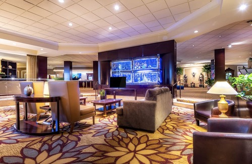 Anaheim Resort Hotel | Magical Oasis Awaits! Castle-Themed Resort with Pool & Free Disneyland Shuttle