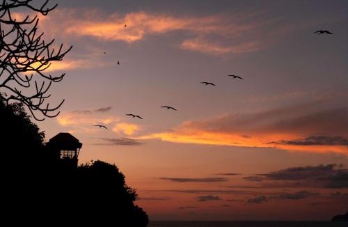 Punta Diamante Hotel | Banyan Tree Cabo Marques