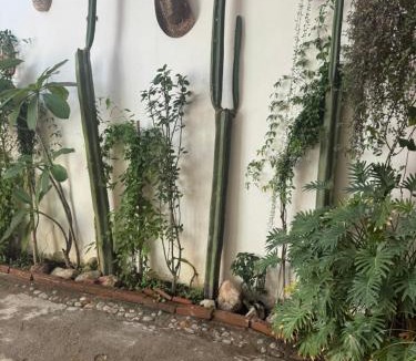 Tlacolula de Matamoros House | Casa Carlota Boutique