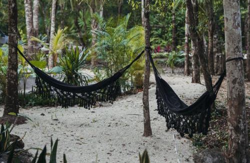 Leona Vicario Hotel | Casa Tattva