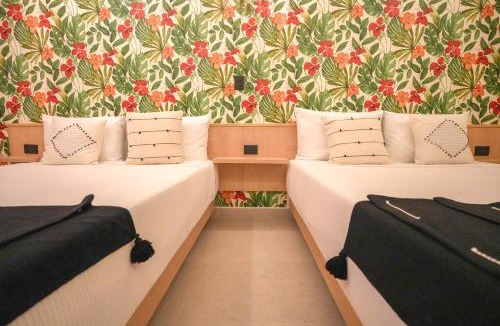 Luis Donaldo Colosio Hotel | Hotel Macondo Quinta Avenida by Ruha