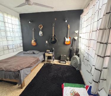 Colonia Andres House | Casa tortuga