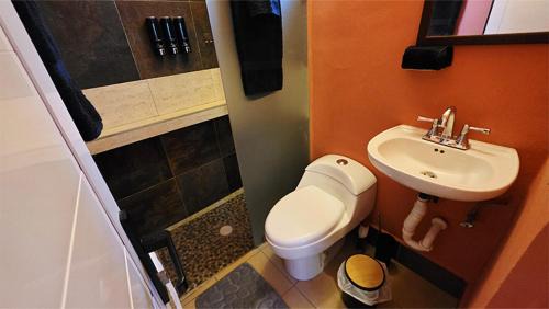 Higuera Blanca House | Casa Efraín 1BDR with Pool and Gardens Near Sayulita & Punta Mita