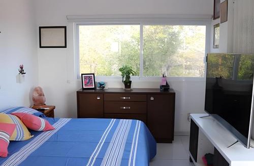 Salchi Apartment | Valentina Salchi Bay virgin beaches fast internet