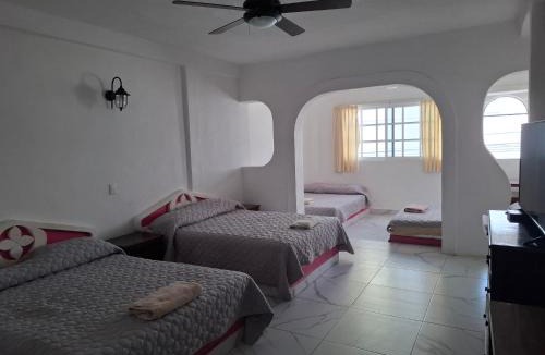 Downtown Cancun Hotel | Hotel Cancún Rosa
