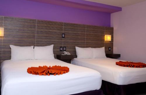 Downtown Cancun Hotel | Hotel Kavia