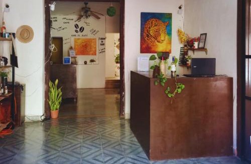 Zona Centro Hotel | Balamku Hotel Petit